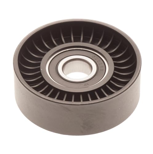 Poulie serpentine hors-bord évite rupture courroie moteur 5.7 5.8 8.1L
