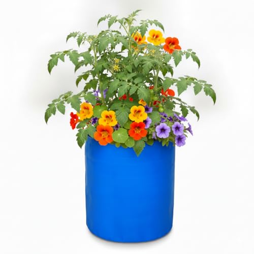Image of Bio Blooms Round HDPE Plant Grow Bag for Terrace & Kitchen Gardening | Pack of 10 | 9x9 | 350 GSM Heavy Duty Outdoor Grow Bag | Durable Planter for Vegetables, Flowers & Plants | Blue