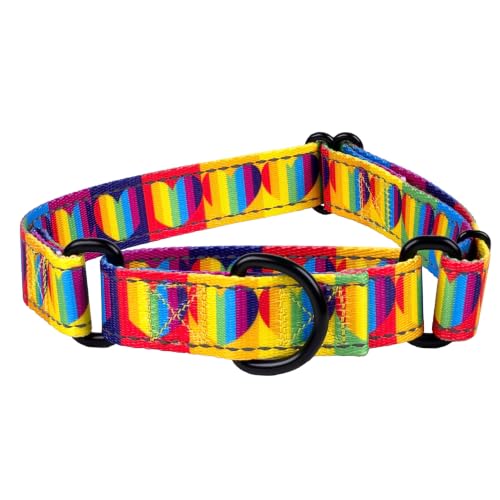 Country Brook Petz - Rainbow Hearts Reflective Martingale Dog Collar - Affection Collection Featuring Night Safe Designs (1 Inch, Large)