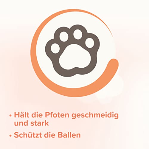 beaphar - Pfoten-Pflege Spray Für Hunde - Schützt Vor EIS, Schnee, Streusalz - Mit Propolis, Glycerin, Teebaumöl - Sanfte Und Geschmeidige Pfoten - Erhöht Die Widerstandsfähigkeit Der Pfoten - 150 ml