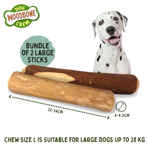 Woodbone Olive Wood and Coffee Wood Dog Chew Stick For Large Dogs - Natural Dental Chewing Toy - Bundle of 2 Size L - Image 2