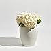 LB2 White Ceramic Large Vase, 11