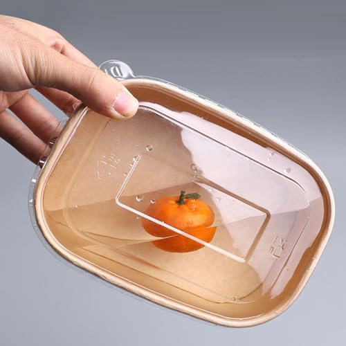 YIMINI Kraftpapier Schale, Take Away Kraftpapier Box, Essen Verpackung Einweg, Mehrweg Schüsseln, Pappschüsseln， Wasserdicht, Ölbeständig, Zum Mitnehmen, Arbeitsessen, Reisen (Mit Deckel, 750ml)