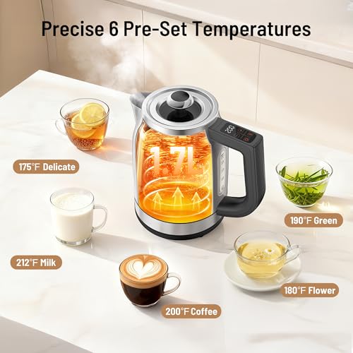 PARIS RHÔNE Electric Kettle with Temperature Control