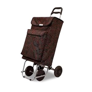 Amig - Einkaufstrolley mit 4 Rädern - Außentasche für Tiefkühlkost - Maximale Belastung 15 kg -Kapazität von 48 Litern - 22x40x106 cm - Farbe: Schwarz