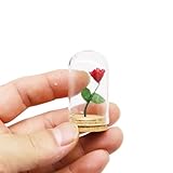 1/6 Dollhouse Miniature Rose with Glass Dome, Faux Flowers, Mini Rose Flowers, Miniature Valentine's Gift, for Dollhouse Miniatures Fairy Garden, Diorama (1PCS) (Red Rose)