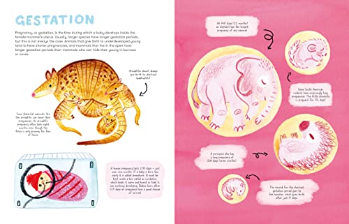 Mama Mammals: Reproduction and Birth in Mammals