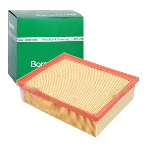 Borsehung B12805