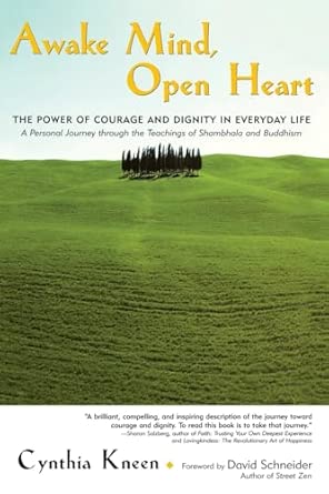 Awake Mind, Open Heart: The Power of Courage and Dignity in Everyday Life book cover