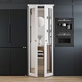 French Pivot Door for 30' x 80' Opening, Double One-Side Mirror Door Panels with Pivot Hardware,...