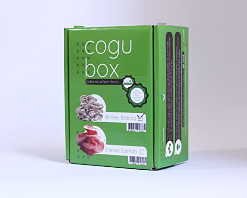 Cogubox - Caixa Cultivo De Cogumelo Shimeji Branco Em 7 Dias