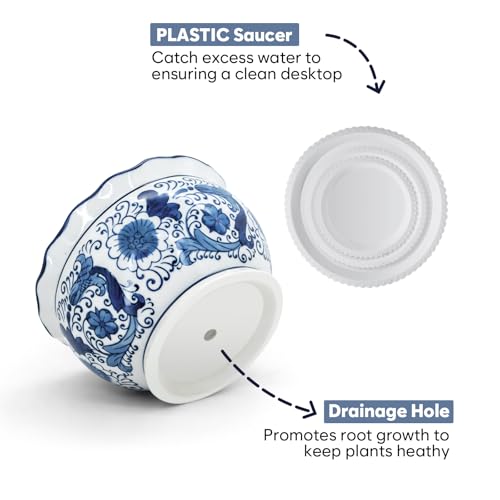 Blue and White Planters, Succulent Pots Ceramic Plant Pots Indoor with Drainage for Home Décor - Set of 3