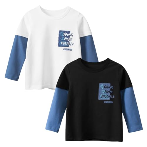 Toddler Little Boys T Shirts 2 Pack Long Sleeve Crewneck Top Tee Dinosaur Car Letter Printed Shirts for 2-7 Years