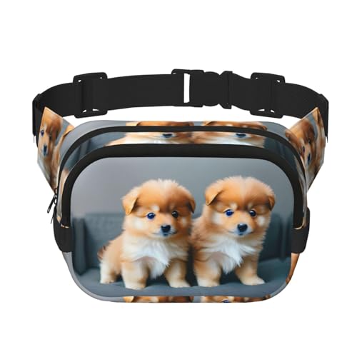 Pomeranians Puppies and Point 1 �v�����g �X�N�G�A �_�u�����C���[ �o�b�O �E�G�X�g�o�b�O �g�����f�B�p�b�N �g���x���o�b�O ���߉\�ȃx���t���A�u���b�N�A�����T�C�Y