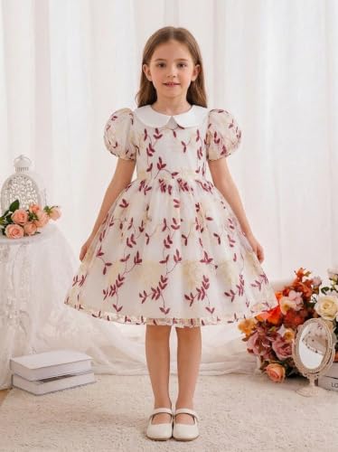 Image of TAGAS Girls Floral Embroidered Party Dress | Puff Sleeve Peter Pan Collar Frock | Elegant Net Princess Dress for Baby Girls | Birthday, Wedding, Ages 2-7 Years | Blue /Red