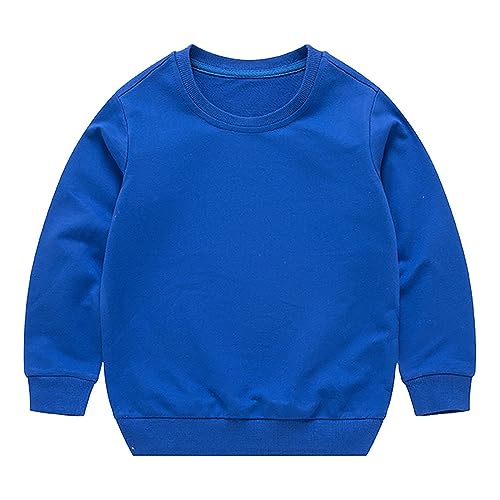 Unisex Boy's Girls Pullover Sweatshirt Winter Warm Sherpa Lined Crewneck Fleece Casual Winter Clothes Sweatshirts