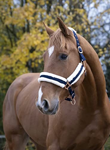 Licol Norton confort marine conçu pour réduire les pressions et irritations du cheval