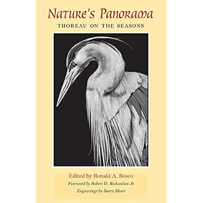 Nature's Panorama