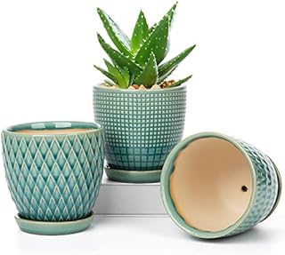 Oairse 3PCS Plant Pots Indoor Ceramic Flower Pots Round Garden Planters with Saucer Tray + Drainage Holes, Succulent Plant Pot/Cactus Plant Pot, 11CM