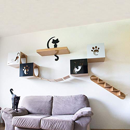 Carlu Pet House - Indoor Circuit Preto