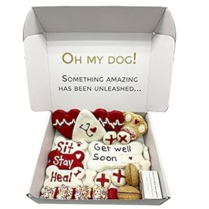 Bonne et Filou Get Well Soon Gifts for Dogs Human Grade Gourmet Dog Treats 21 Luxury Dog Treats with Dog Macarons, Truffles & Bone Cookies Healthy Dog Treats for Small to Large Dogs Bonne et Filou Get Well Soon Gifts for Dogs Human Grade Gourmet Dog Treats 21 Luxury Dog Treats with Dog Macarons Truffles Bone Cookies Healthy Dog Treats for Small to Large Dogs