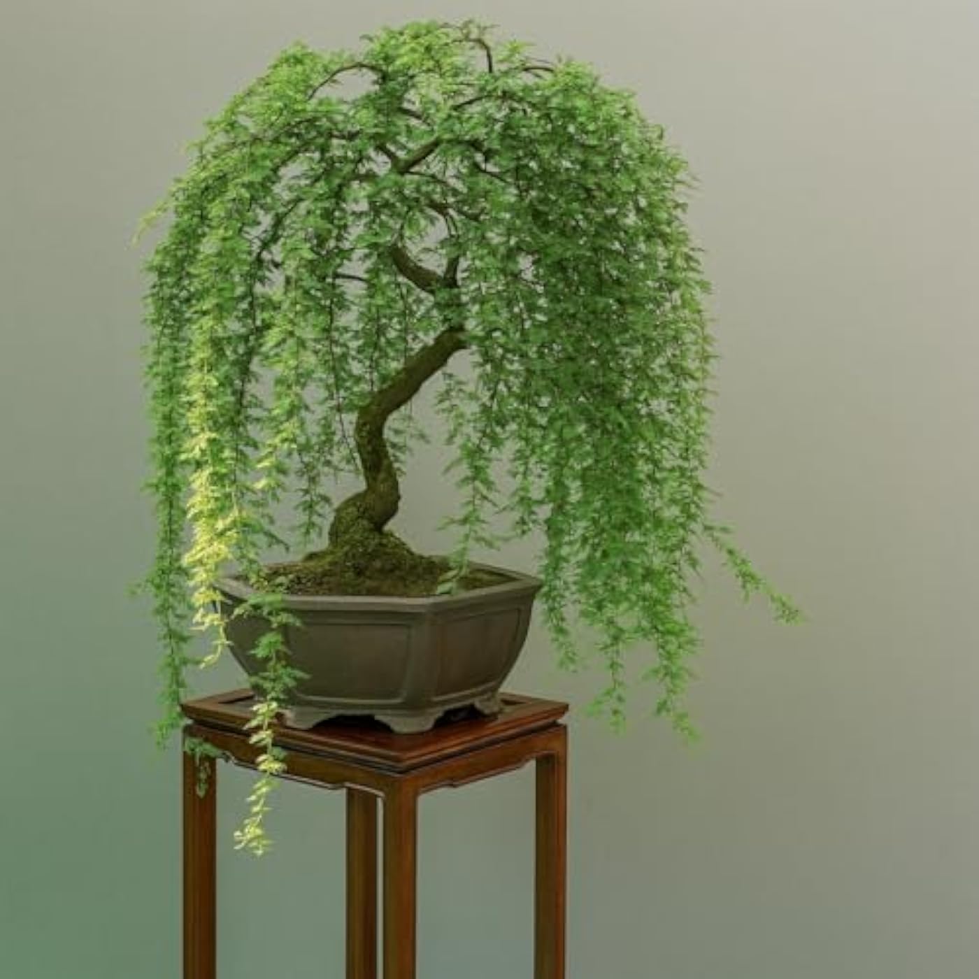 Gallery image 1
