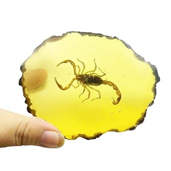 Amber Fossils Insect Samples Artificial Amber Insect Specimen Pendant Stone Decoration Crystal Samples Collection Science Education Dragonflies, Cicadas, Scorpions, Butterflies Scorpions