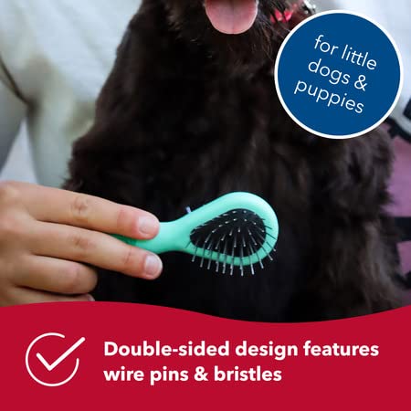 Coastal Pet Li'l Pals Dog Combo Brush - Dog Grooming Brush For Small Dogs - One Size #TOP2