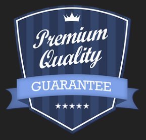 Securepro Products Super Heavy-Duty Handicap Placard Protective Plastic Holder Sleeve For Disabled Parking Permits #TOP3