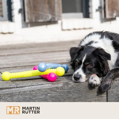 Martin Rütter FUNSTIX Stöckchenersatz für Hunde Größe: S, Farbe: Neongelb – Flexibler & sicherer Apportierstab aus TPE – Schwimmfähig, robust & lebensmittelecht