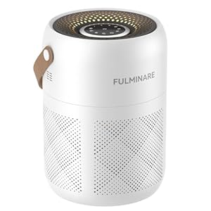 FULMINARE Air Purifiers for Bedroom, HEPA Air Purifiers for Home, Office, Portable Air Filters with Air Quality Monitoring, 3 Speed, Quiet Air Cleaner for Pet Dander, Smoke