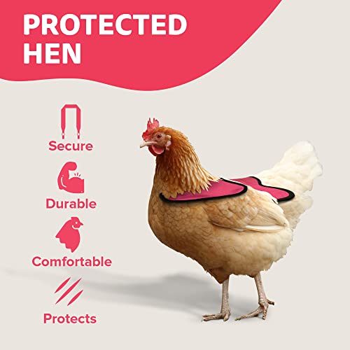 Hen Saver Hen Apron/Saddle, Single Strap, Fixed Shoulder Protectors, Large, Awareness Pink #TOP3