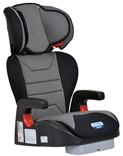 Burigotto Cadeira Para Auto Protege Reclinável 15-36 Kg Mesclado Cinza
