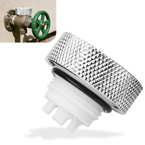 Eastman 45417 Kit de réparation pour disjoncteur sous vide - Kit de réparation de valve anti-siphon classique en silicone anti-gel (1 pièce)