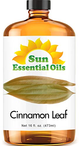 Cinnamon Leaf Essential Oil (Huge 16oz Bottle) Bulk Cinnamon Leaf Oil - 16 Ounce