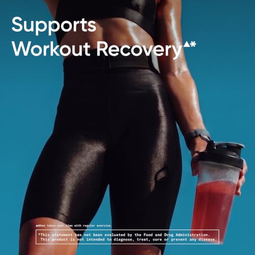 Image of Sports Research Creatine Monohydrate Powder 5g, Fruit Punch (13.97oz)