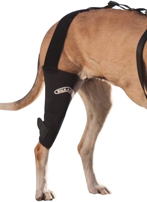 Canine Knee Brace 3.0 mm neoprene support sleeve (ML LEFT)