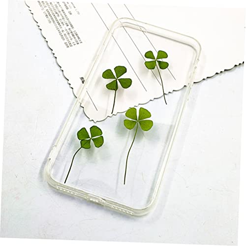 Unomor 24pcs hojas secas de trébol de cuatro hojas para manualidades miniatura 4