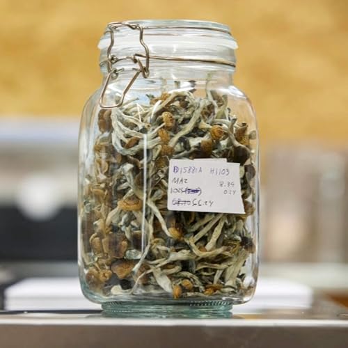 Psychedelics and the future of medicine