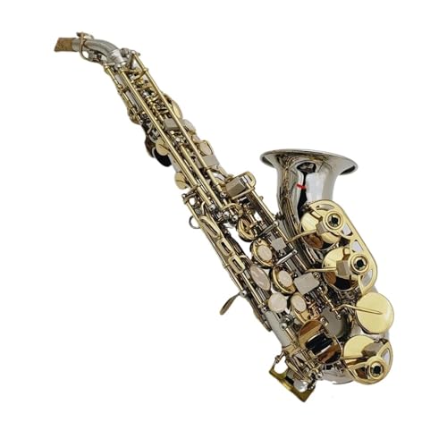 SҗpTbNX Bb AgTbNX ⃁bL Ǌy }EXs[Xt