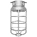 RAB Lighting VAPORPROOF 200 CEILING 4" BOX 1/2" WITH GLASS GLOBE CAST