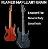 Ibanez Gio GRGR221FA-TDK Electric Guitar - RG Solid Body - 6 String - IBZ-6 Pickups - Roasted Maple Neck - Flamed Maple Art Grain Top in Transparent Indigo Black #3