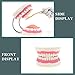 RONTEN Dental Teeth Care Model-Mouth Model for Speech Therapy, Enlarged 6 Times Standard Size, for Both Dental and Speech Therapy Training. Includes Matching Giant Toothbrush