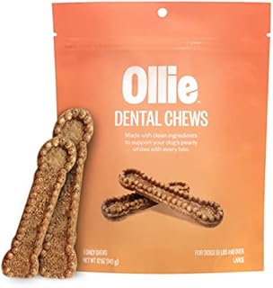 Ollie Dental Chews for Dogs Large- Dog Breath Treats - Dog Teeth Cleaning Treat - Dental Sticks for Dogs - Fresh Breath for Dogs - Dog Dental Chews - Dog Dental Care - 12 Oz.