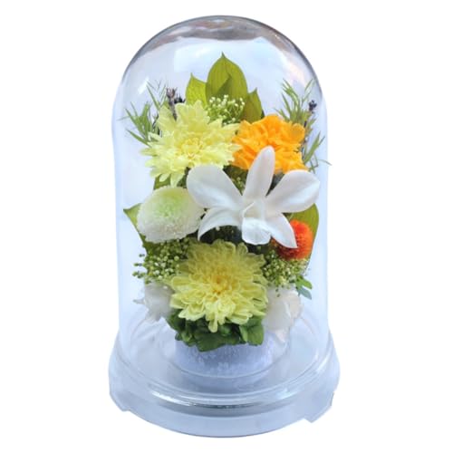  vU[uht[    ފ d ͂Ȃ     ~ V~ ~ ފ ybguU[ht[ ԃh[ ( -̂-)