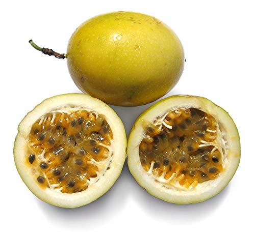 See full amazon price history chart for BeGrin Passion Fruit Live Plant (Passiflora edulis) Hybrid Live Plant Original Variety, Passiflora edulis, Without Pot Anarkoli 1 Healthy Plant (Without Pot) BeGrin Passion Fruit Live Plant (Passiflora edulis) Hybrid Live Plant Original Variety, Passiflora edulis, Without Pot Anarkoli 1 Healthy Plant (Without Pot) (B0DDCNT2J7) Amazon Price History, Amazon Price Tracker