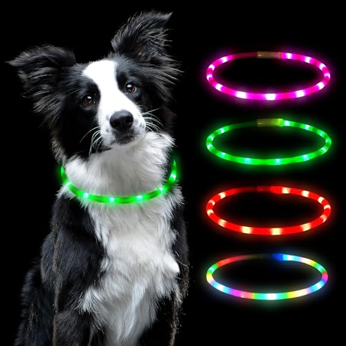 AUAUY Collare Luminoso per Cani, Collare per Animali Domestico LED Ricaricabile USB, Collare di Lunghezza Regolabile con 4 Modalità Luminose per Cani di Taglia Piccola Media Grande - Verde