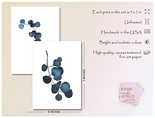 Botanical Prints Wall Art - Eucalyptus Leaves Decor - Blue Wall Art - Set of 3- Unframed (5x7)