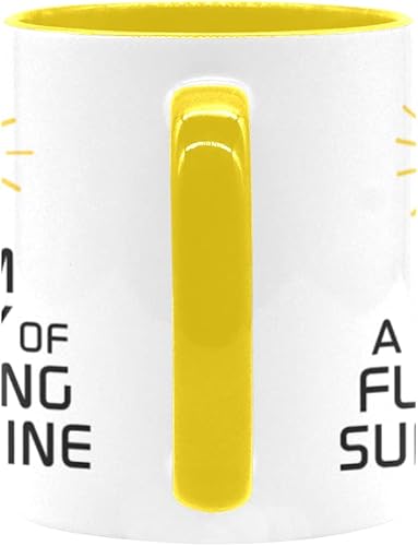 Miniatura 6 de Funny Summer Sunshine - Taza de café con texto en inglés "I Am A Ray Of Fucking Sunshine", taza de cerámica de 11 onzas con color interior, color