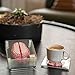 ThinkGeek Anatomic Brain Specimen Coasters Set of 10 for Neuroscience Medical Student Gifts Human Anatomy Generix geek